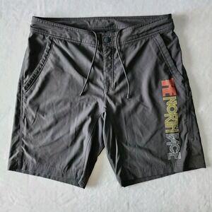 The North Face Shorts Mens 36 Performance Hiking 9" Quick Dry Spell Out Gorpcore